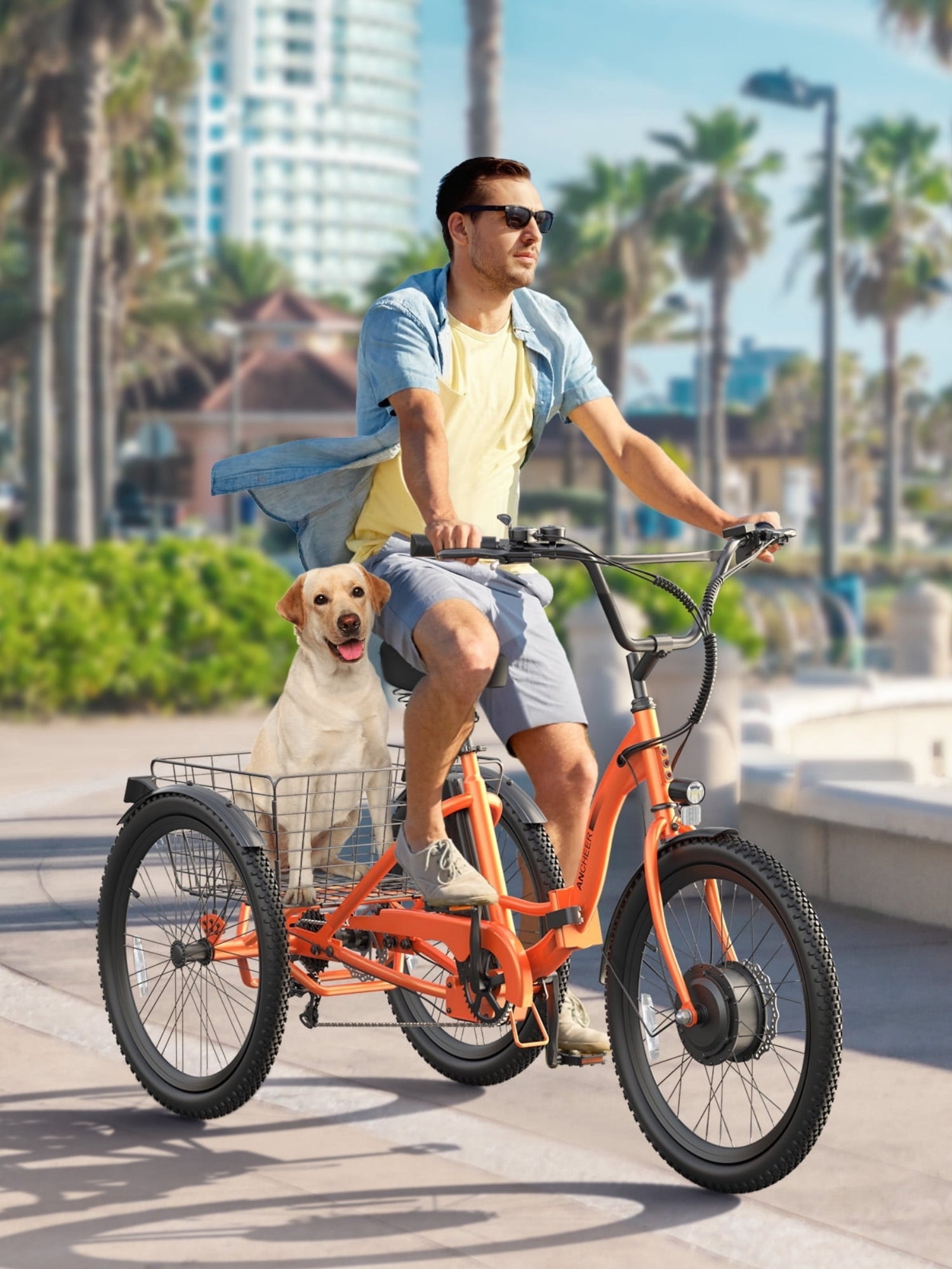 Electric Trikes