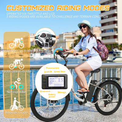 Gocio Cruiser