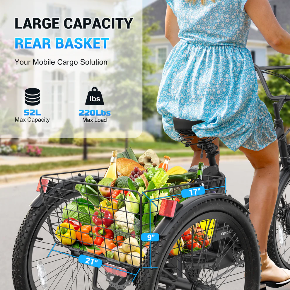 ANCHEER Gocio Cargo Motorized Electric Tricycle for Adults