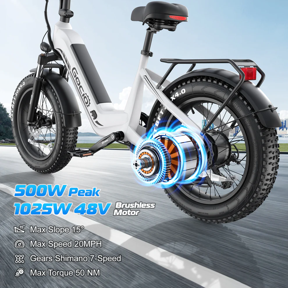 ANCHEER Gocio 20"x4.0" Fat Tire Mountain Electric Bike for Adults