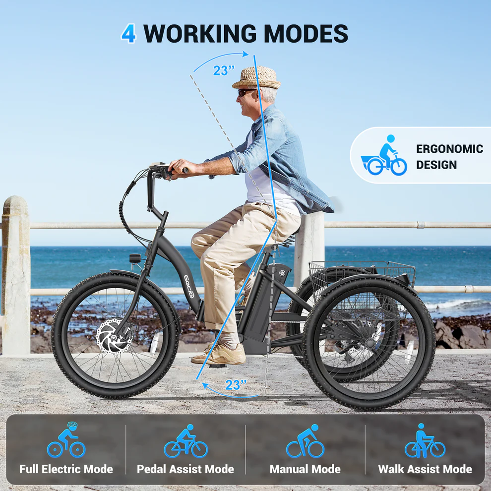ANCHEER Gocio Cargo Motorized Electric Tricycle for Adults