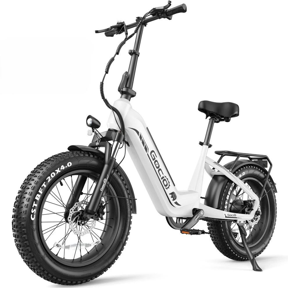 ANCHEER Gocio 20"x4.0" Fat Tire Mountain Electric Bike for Adults