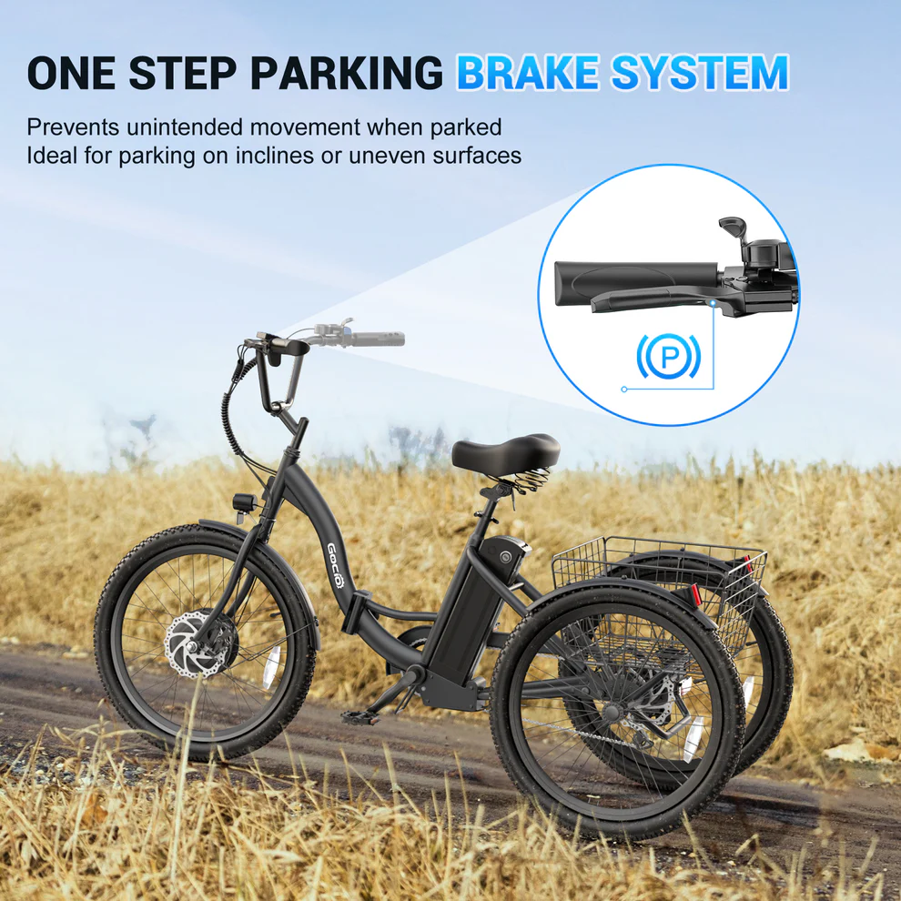 ANCHEER Gocio Cargo Motorized Electric Tricycle for Adults