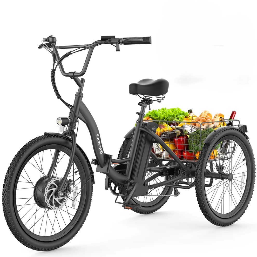 ANCHEER Gocio Cargo Motorized Electric Tricycle for Adults