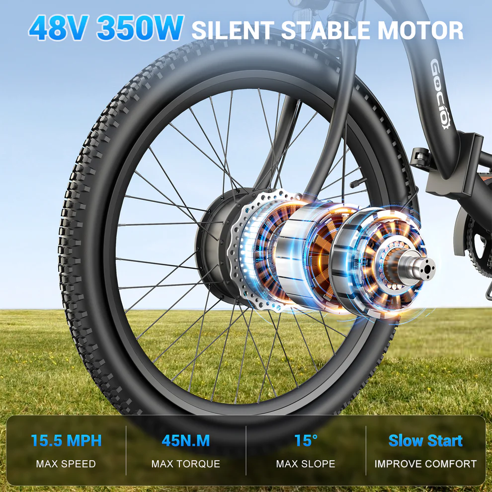 ANCHEER Gocio Cargo Motorized Electric Tricycle for Adults