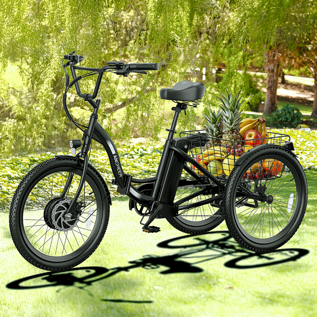 ANCHEER TrioSE 350W 24